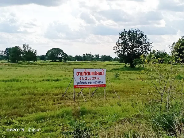 ขายด่วน! ที่ดินชัยภูมิ ราคาต่ำกว่าประเมิน เนื้อที่ 6-2-23 ไร่ ทำเลดี ตำบลหนองบัวใหญ่ อำเภอจัตุรัส จังหวัดชัยภูมิ