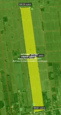 DSL-609 ขาย ที่ดิน ขายที่ดินทุ่งนาแปลงใหญ่ติดถนนใหญ่ อ.วังทอง จ.พิษณุโลก 53-3-98 ไร่ ราคา 13,498,750 บาท (250,000 บาท/ไร