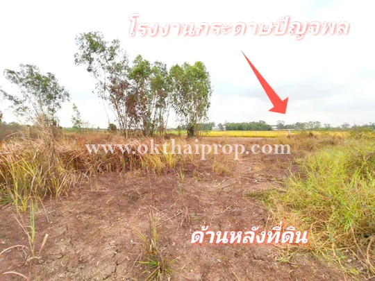 ที่ดิน 1 ไร่ 24 ตร.วา ถนน3111 อ.บางไทร จ.พระนครศรีอยุธยา