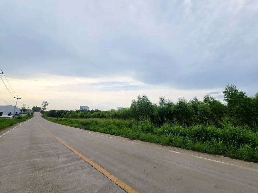 ขาย ที่ดิน หนองใหญ่ ชลบุรี