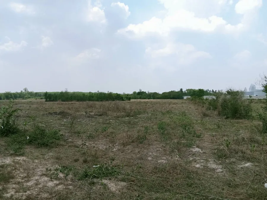 ขาย ที่ดิน จ.ฉะเชิงเทรา อ.แปลงยาว