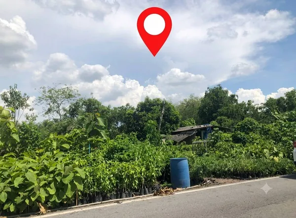 ที่ดินติดถนน-ติดคลอง ทำเลดี ใกล้ชุมชน เจ้าของขายเอง (โฉนดพร้อมโอน)