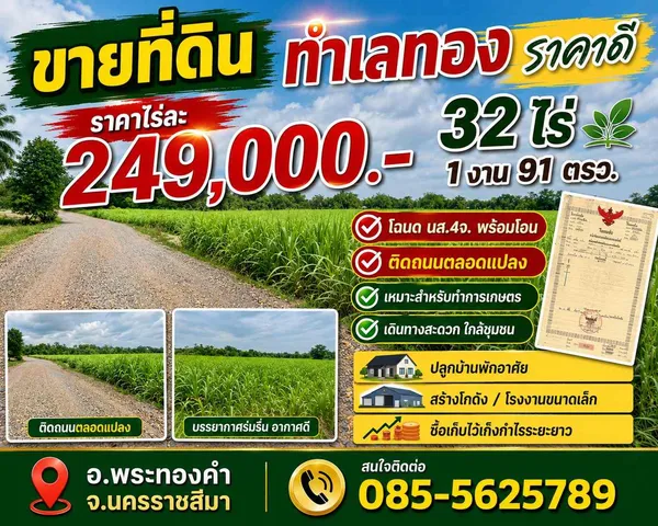 ขายที่ดินเปล่า 2 เเปลง ทำเลดี เหมาะสำหรับลงทุน จังหวัดนครราชสีมา