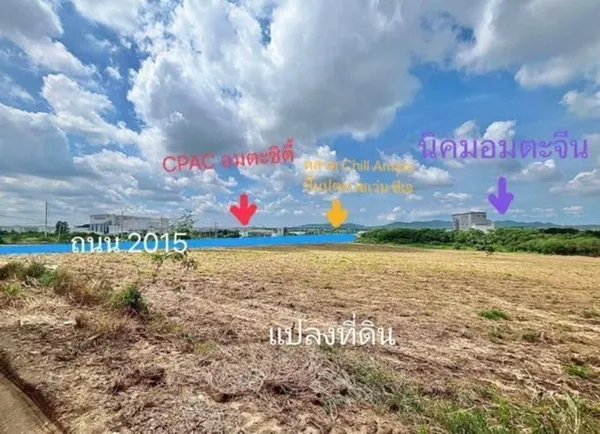 ขายที่ดิน 46 ไร่ สีม่วงเข้ม ติดอมตะซิตี้ มาบยางพรอ ปลวกแดง ระยอง