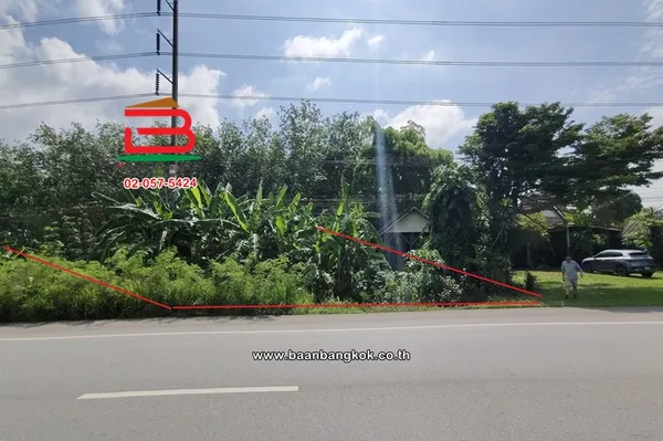 ที่ดินต้นยางพารา (พร้อมกรีด) เนื้อที่ 2-0-80 ไร่ วังจันทร์-ระยอง ใกล้เทศบาลตำบลชุมแสง ทางหลวงแผ่นดินหมายเลข 344 (บ้านบึง-แกลง) ตำบลพลงตาเอี่ยม อำเภอวังจันทร์ ระยอง