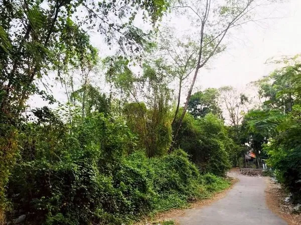 ขายที่ดิน 208 ตร.ว. ที่ติดริมน้ำ ซอยนวมินทร์ 24 (ซอยอุเทน 8) ใกล้สวนนวมินทร์ภิรมย์