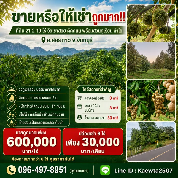 ขายหรือให้เช่าถูกมาก!! ที่ดิน 21-2-10 ไร่ วิวเขาสวย ติดถนน พร้อมสวนทุเรียน ลำไย อ.สอยดาว จ.จันทบุรี
