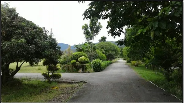 ขายที่ดิน115ไร่ ลดพิเศษ 39ล. ผ่อนได้ ฟรีโอน บ้านยุโรป3หลัง สาธารณูปโภค เหมาะทำรีสอร์ท คาเฟ่ ที่เที่ยว เกษตร ใกล้เทศบาล ต