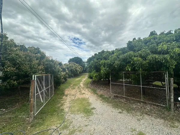 ขายที่ดินพร้อมสวนลำไย + สวนทุเรียน จ.เชียงใหม่ พร้อมลงทุนต่อ สร้างรายได้ และต่อยอดได้ทันที!