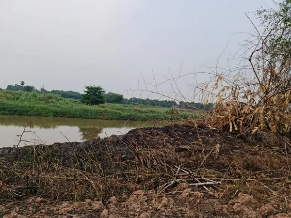 มิติใหม่ในการเลือกทรัพย์ฉลาด ขาย ที่ดินติดแม่น้ำน่าน ที่สวยติดแม่น้ำน่าน ชุมแสง จ.นครสวรรค์