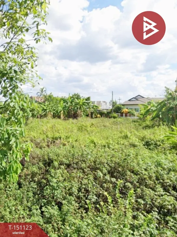 ขายที่ดิน เนื้อที่ 100 ตร.วา บ้านดู่ เชียงราย