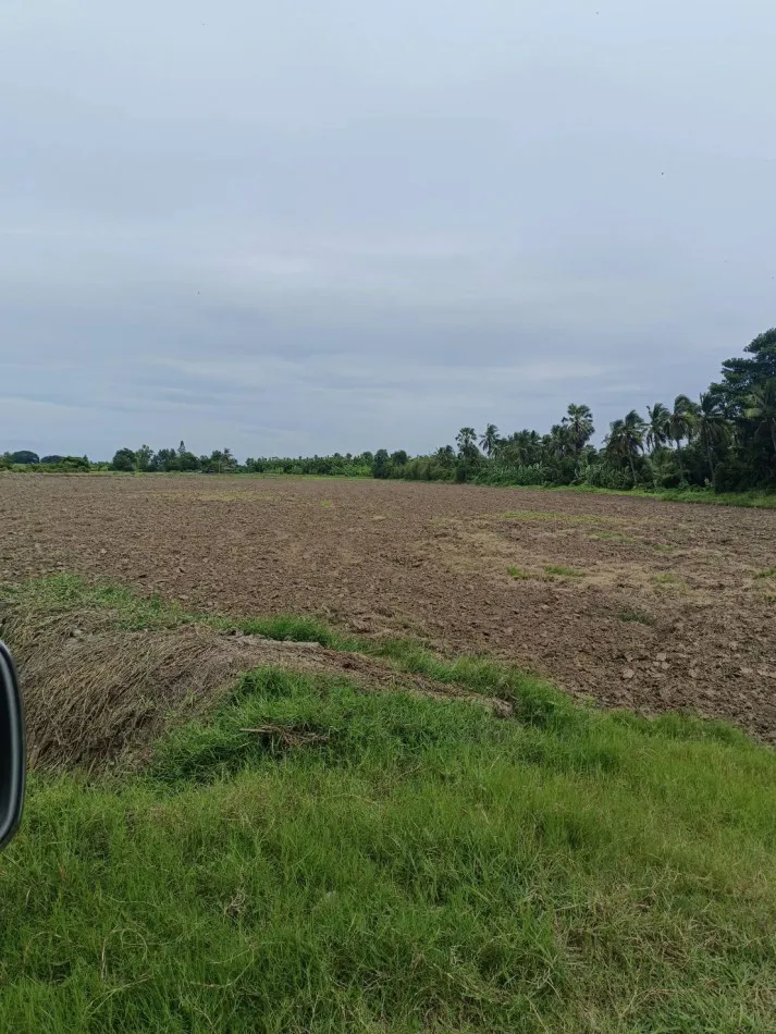 ขาย ที่ดิน จรเข้สามพัน อู่ทอง สุพรรณบุรี