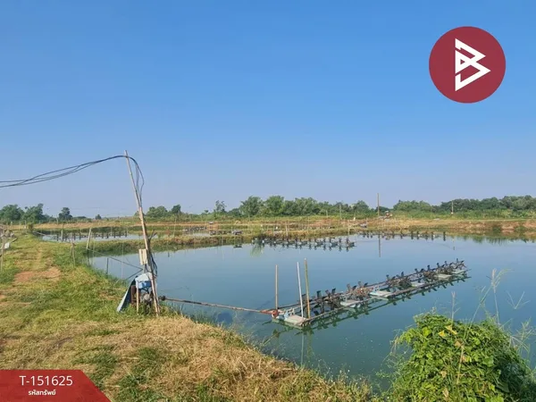 ขายที่ดิน เนื้อที่ 14 ไร่ 44 ตร.วา บ้านสร้าง ปราจีนบุรี