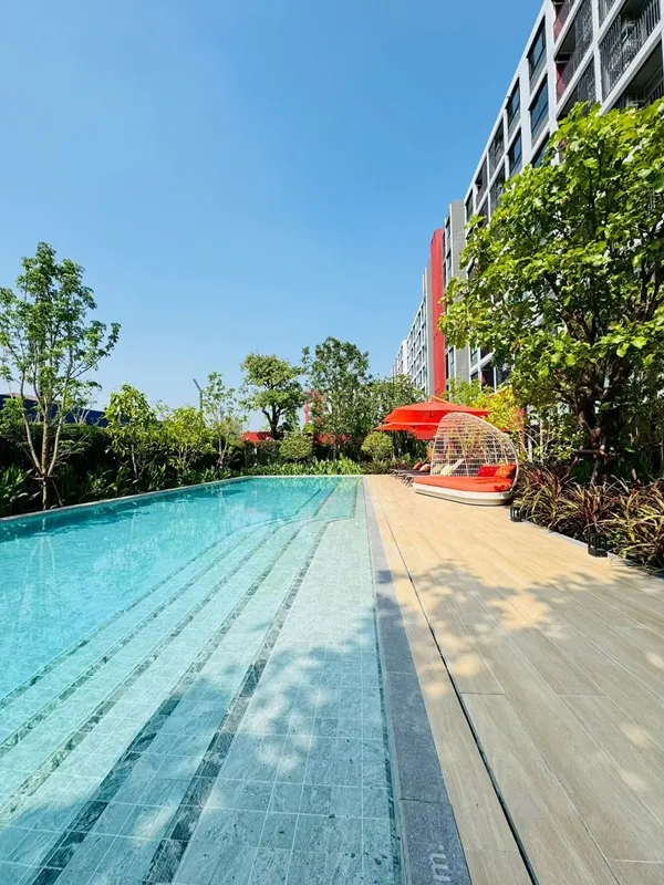ขายคอนโด ใหม่ dcondo Vivid Rangsit ตรงข้าม ม.กรุงเทพ ข้ามสะพานลอยก็ถึงมหาลัย พร้อมอยู่ โทร 0616161426