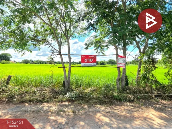 ขายที่ดิน เนื้อที่ 5 ไร่ 1 งาน 53.4 ตร.วา บรบือ มหาสารคาม