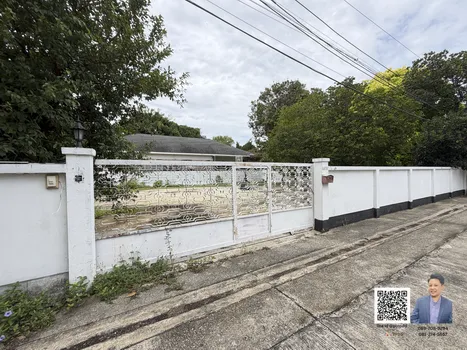 ขายที่ดิน Prime Ekkamai 113.6 ตร.ว. แปลงสวย หน้ากว้าง เหมาะสร้าง Luxury Home-Prime Ekkamai Land for Sale – 113.6 Sq.Wah  Wide Frontage  Ideal for a Luxury Home