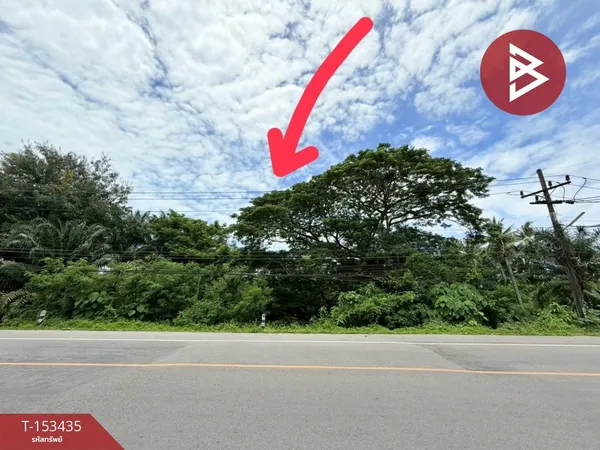 ขายที่ดิน เนื้อที่ 2 งาน 74 ตร.วา ท่าชนะ สุราษฎร์ธานี