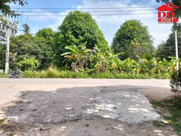 ขาย ที่ดินเปล่าติดถนน เกาะพงัน จ.สุราษฎร์ธานี
รหัสทรัพย์ : L8074