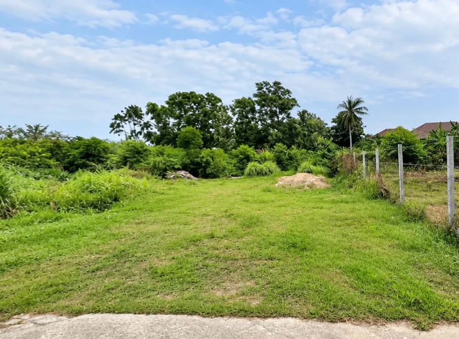 ขาย ที่ดิน ซอยกาญจนวนิชวงศ์ 81 เมืองสงขลา ขนาด 46.