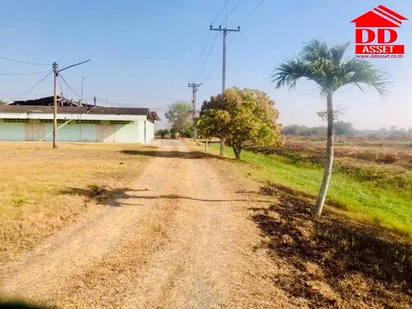 ขายที่ดินชลบุรี หนองหงส์ พานทอง ชลบุรี
รหัส : L8047