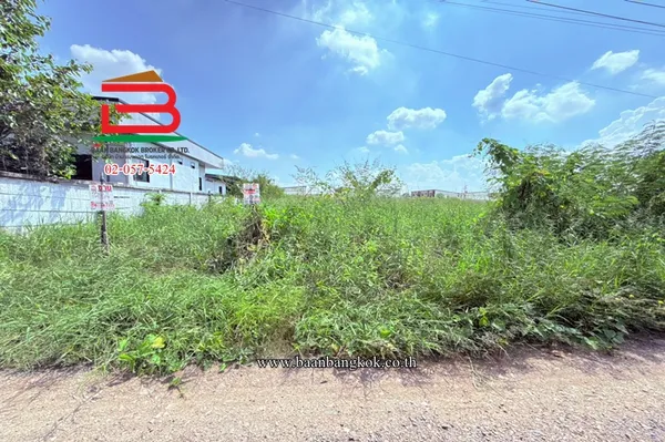 ที่ดินเปล่า ซอยคลองหกตะวันออก 52 (ซอยคลอง 6 ตะวันออก52) เนื้อที่ 2 ไร่ ตำบลคลองหก อำเภอคลองหลวง จังหวัดปทุมธานี