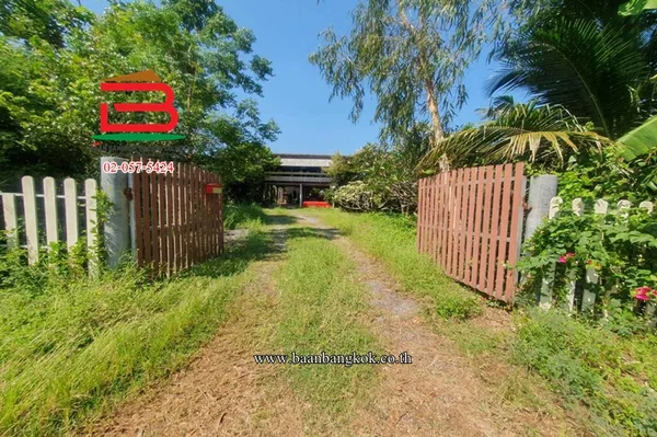 ที่ดินพร้อมบ้าน ใกล้วัดใหม่คลองเก้า-หนองเสือ เนื้อที่ 2 ไร่ ตำบลบึงบา อำเภอหนองเสือ จังหวัดปทุมธานี