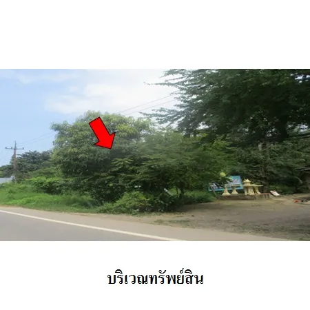 ทรัพย์ บสส. รหัส 1T0117 ที่ดินเปล่า  ประจวบคีรีขันธ์ 2060000