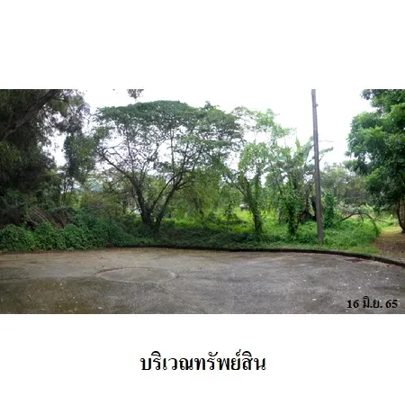 ทรัพย์ บสส. รหัส 1T0246 ที่ดินเปล่า  กรุงเทพมหานคร 7701000