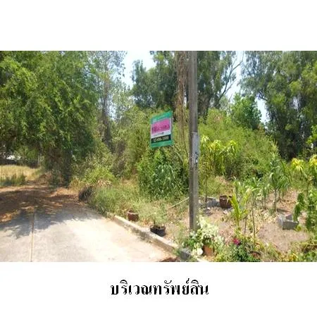 ทรัพย์ บสส. รหัส 1T1148 ที่ดินเปล่า  กรุงเทพมหานคร 5138000