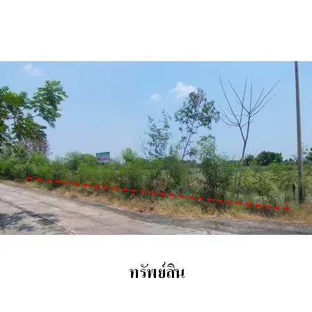 ทรัพย์ บสส. รหัส 1T2182 ที่ดินเปล่า  กรุงเทพมหานคร 9765000