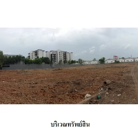 ทรัพย์ บสส. รหัส 1T2834 ที่ดินเปล่า  ปทุมธานี 244558000