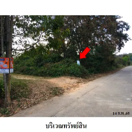 ทรัพย์ บสส. รหัส 2T0091 ที่ดินเปล่า เชียงใหม่ 5385000