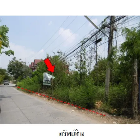 ทรัพย์ บสส. รหัส 2T0351 ที่ดินเปล่า  พระนครศรีอยุธยา 21132000