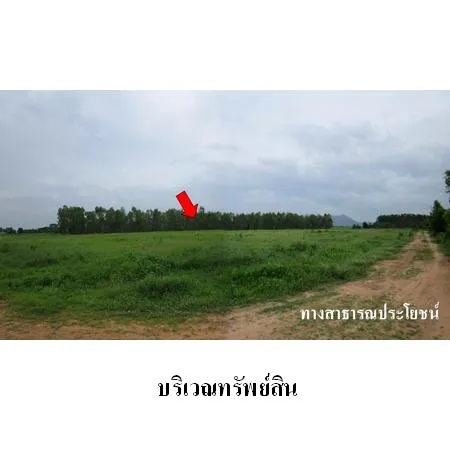 ทรัพย์ บสส. รหัส 2T1235 ที่ดินเปล่า  ราชบุรี 2076000