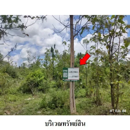 ทรัพย์ บสส. รหัส 2T1687 ที่ดินเปล่า  ลำพูน 210000