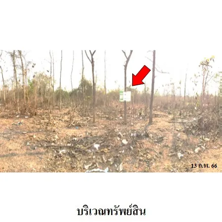 ทรัพย์ บสส. รหัส 2T2199 ที่ดินเปล่า  ลำพูน 410000