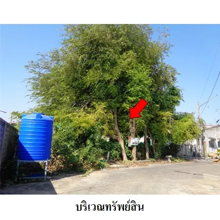 ทรัพย์ บสส. รหัส 2T2607 ที่ดินเปล่า ลพบุรี 981000