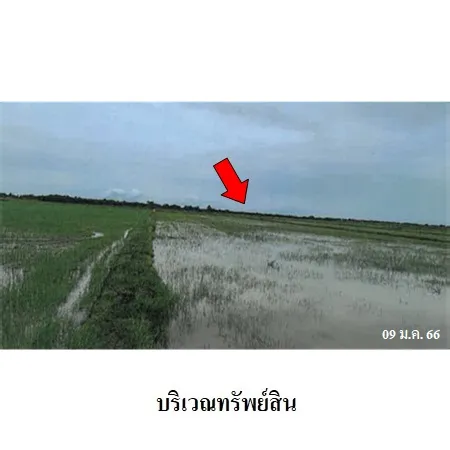 ทรัพย์ บสส. รหัส 2T2638 ที่ดินเปล่า เพชรบุรี 798000