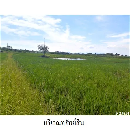 ทรัพย์ บสส. รหัส 2T2639 ที่ดินเปล่า  เพชรบุรี 3453000