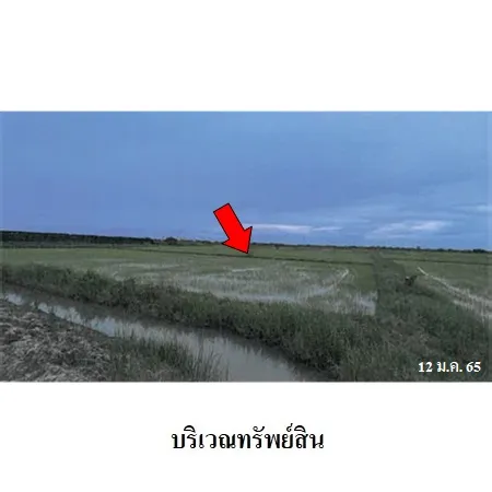 ทรัพย์ บสส. รหัส 2T2643 ที่ดินเปล่า เพชรบุรี 1713000