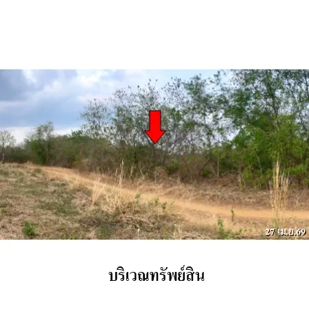 ทรัพย์ บสส. รหัส 3A0222 ที่ดินเปล่า  เพชรบูรณ์ 48000