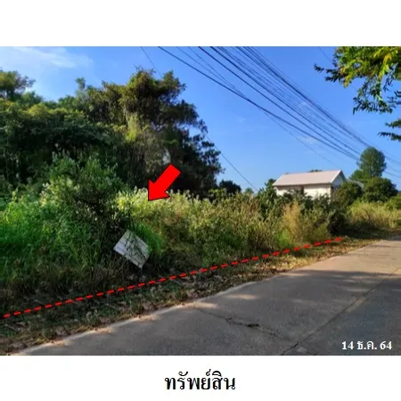 ทรัพย์ บสส. รหัส 3A0228 ที่ดินเปล่า อุบลราชธานี 1241000