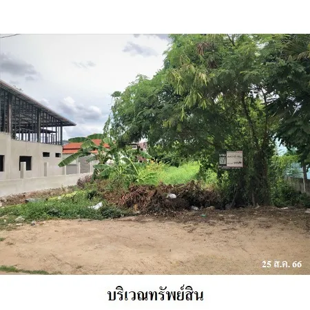 ทรัพย์ บสส. รหัส 3A0398 ที่ดินเปล่า นครราชสีมา 9866000