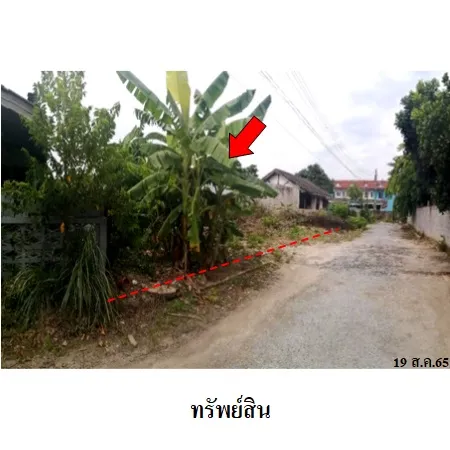ทรัพย์ บสส. รหัส 3A0405 ที่ดินเปล่า ชลบุรี 1980000