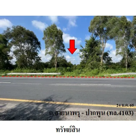 ทรัพย์ บสส. รหัส 3A0407 ที่ดินเปล่า  นครศรีธรรมราช 123129000