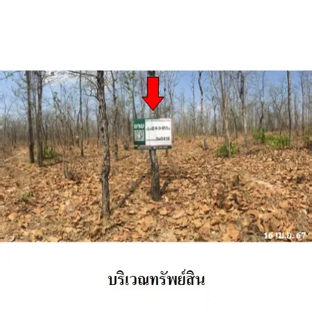 ทรัพย์ บสส. รหัส 3A0415 ที่ดินเปล่า  ตาก 3065000