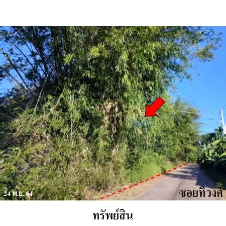 ทรัพย์ บสส. รหัส 3A0460 ที่ดินเปล่า ยโสธร 2274000