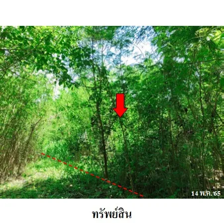 ทรัพย์ บสส. รหัส 3A0856 ที่ดินเปล่า เพชรบูรณ์ 184000