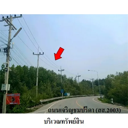 ทรัพย์ บสส. รหัส 3A0880 ที่ดินเปล่า  สมุทรสงคราม 17099000