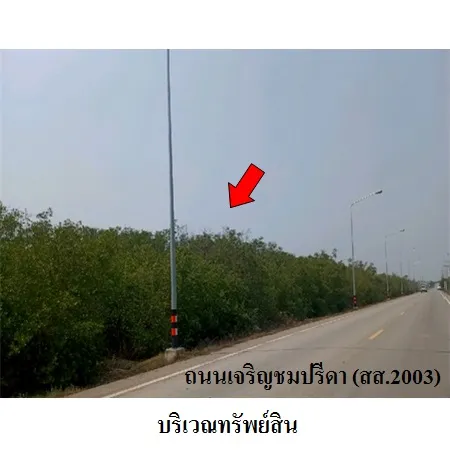 ทรัพย์ บสส. รหัส 3A1017 ที่ดินเปล่า  สมุทรสงคราม 7946000